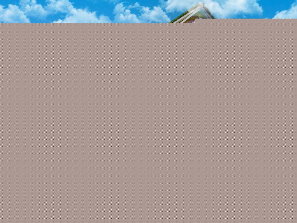 Shot01PP with birds blue sky